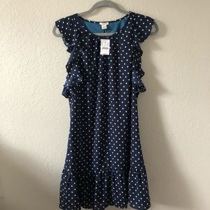 J.Crew Navy Polka Dot Dress